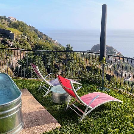Villa Quinta Terezinha Ribeira Brava Exterior foto