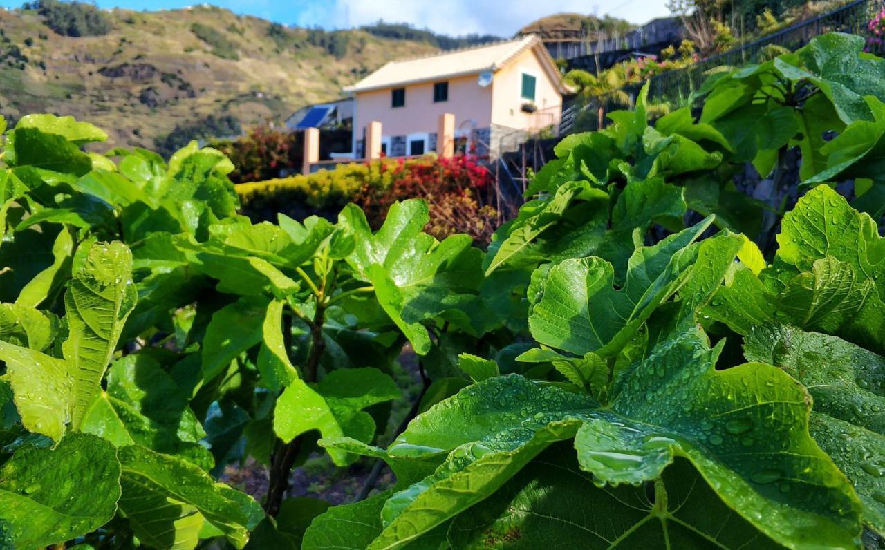 Villa Quinta Terezinha Ribeira Brava Exterior foto
